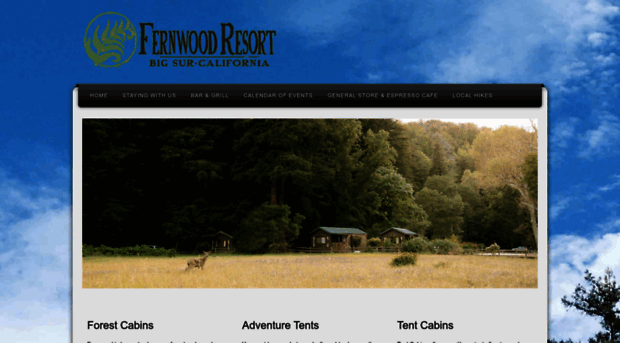 fernwoodbigsur.com