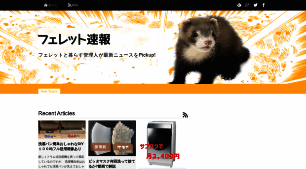 ferret-news.com