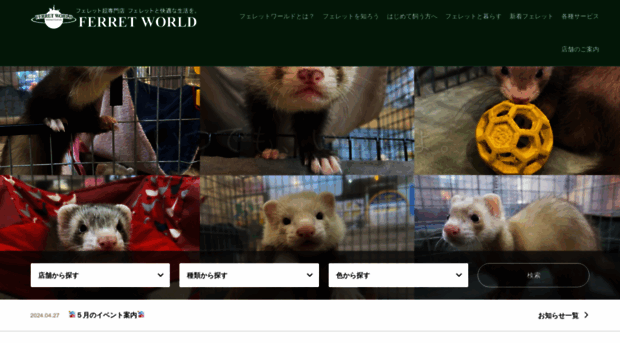 ferret-world.jp