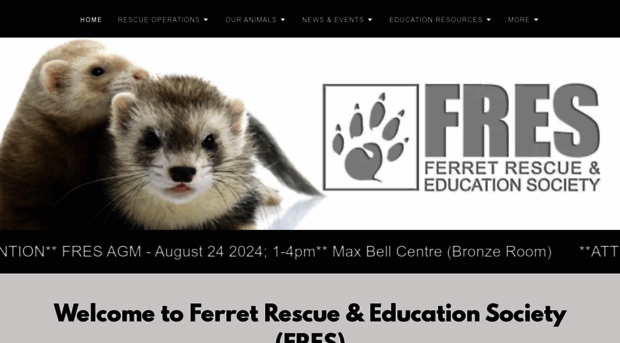 ferrets.ca