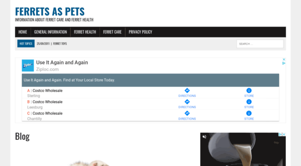 ferretsaspets.org