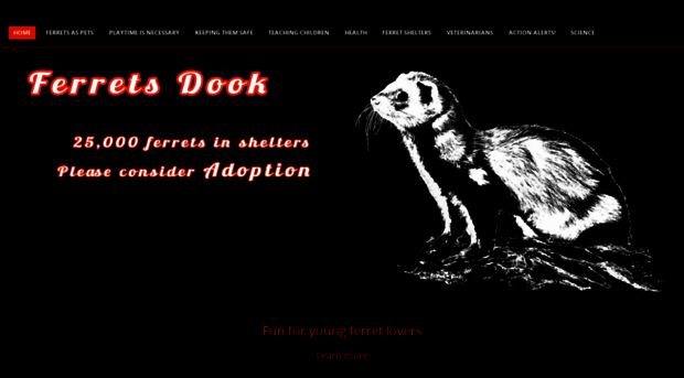 ferretsdook.org