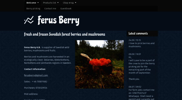 ferusberry.com