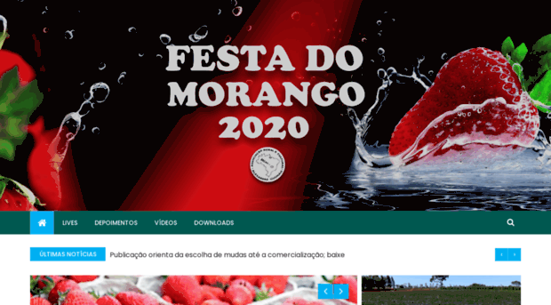 festadomorangodf.com.br