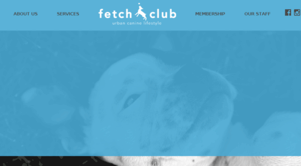 fetchclub.com