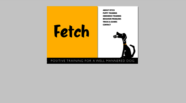 fetchdogtraining.com