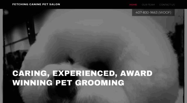 fetchingcanine.com