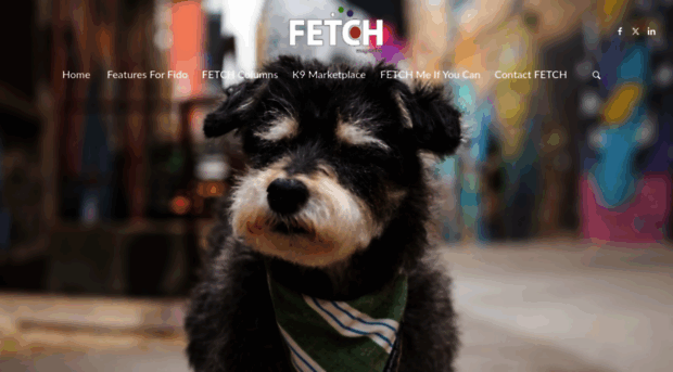 fetchmag.com