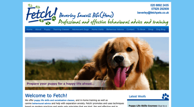 fetchpets.co.uk