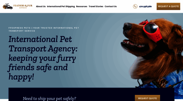 ffexpresspets.com