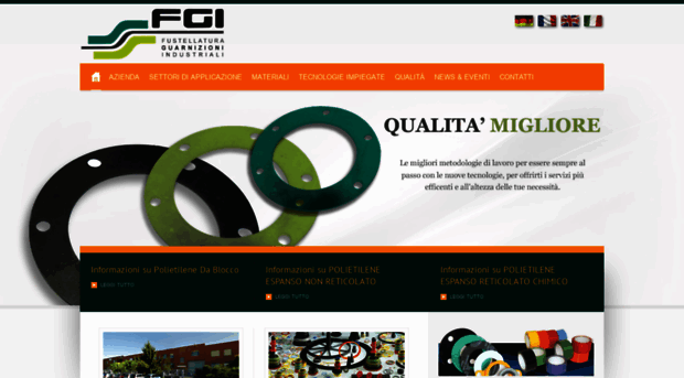 fgi-italy.com