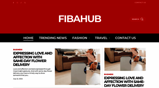 fibahub.net