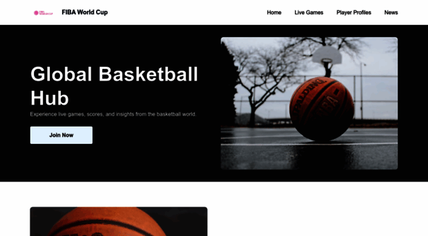 fibaworldcup.com