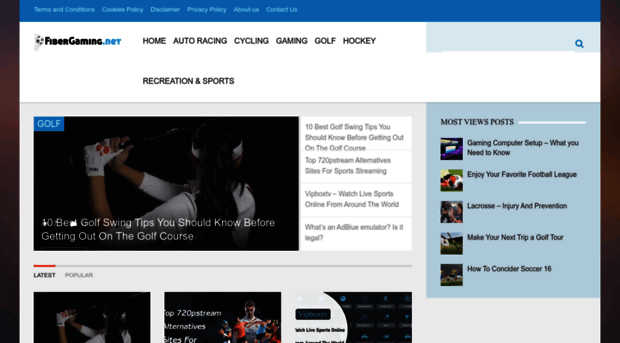 fibergaming.net