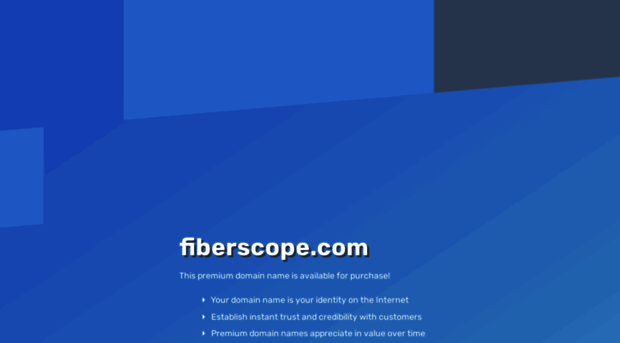 fiberscope.com