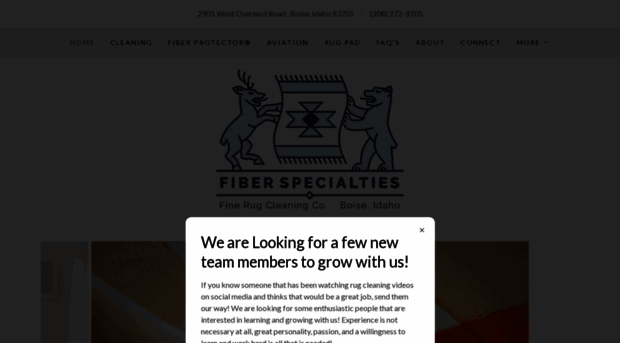 fiberspecialties.com