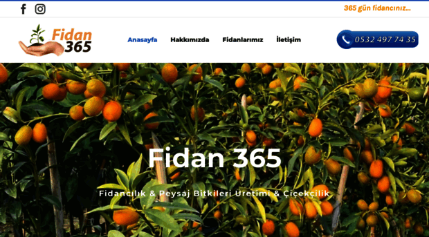 fidan365.com