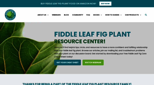 fiddleleaffigplant.com