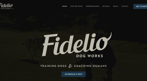 fideliodogs.com