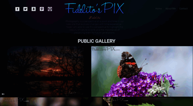 fidelitospix.com