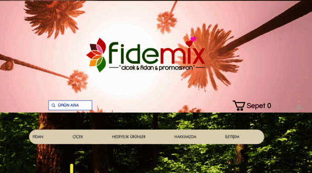 fidemix.com