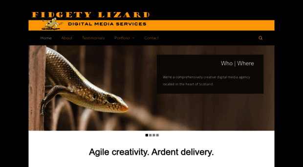 fidgetylizard.com