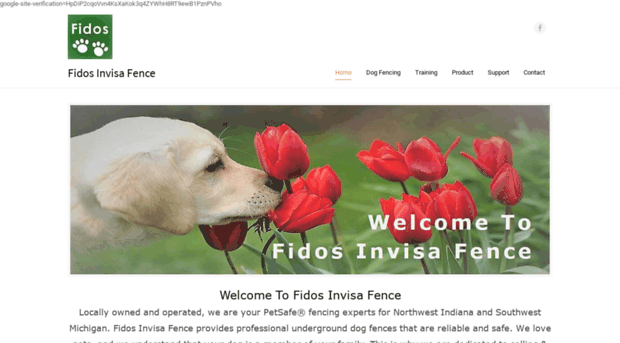 fidosinvisafence.com