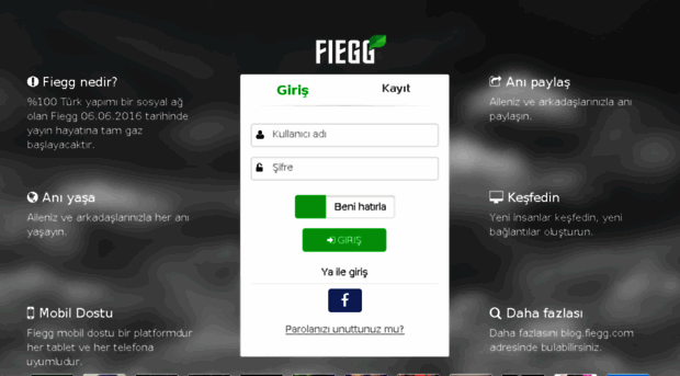 fiegg.com