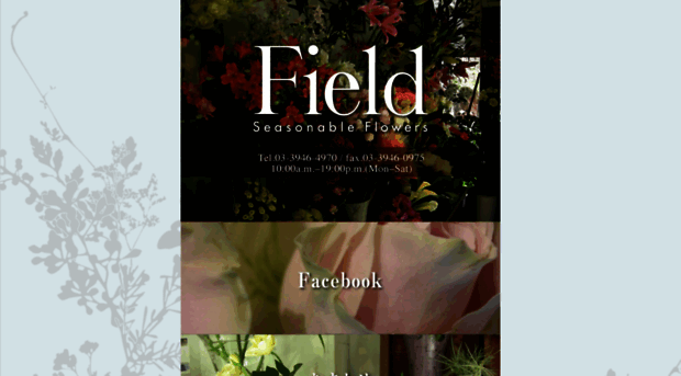 field-flower.net