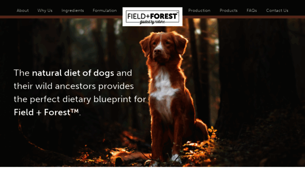 fieldandforest.co.za