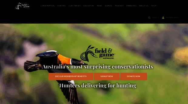 fieldandgame.com.au