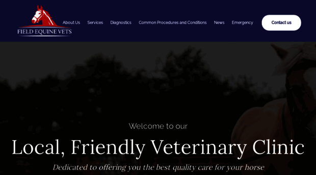 fieldequinevets.co.uk