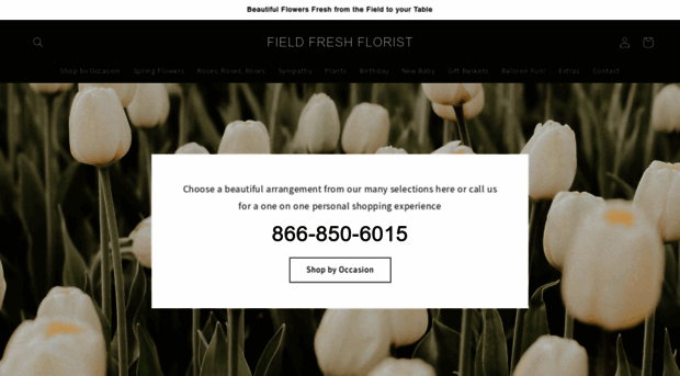 fieldfreshflorist.com