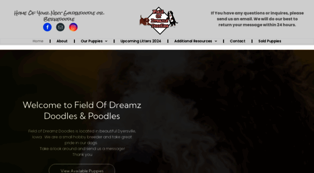 fieldofdreamzdoodles.com
