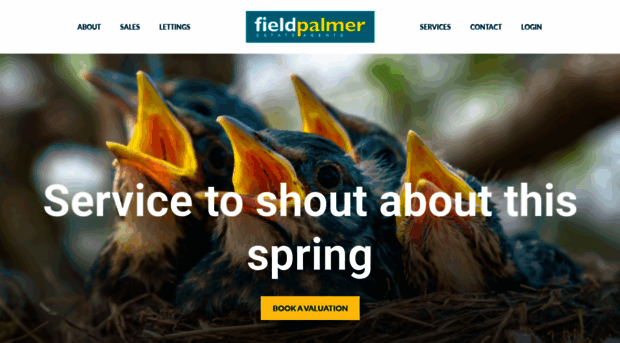 fieldpalmer.com