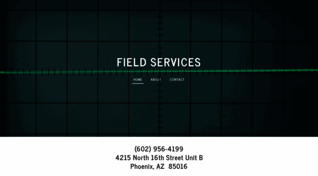 fieldservicesaudio.com