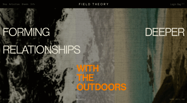 fieldtheory.us