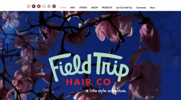 fieldtriphair.com