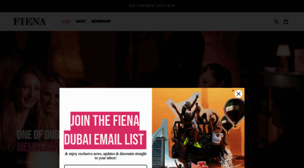 fienadubai.com