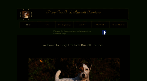 fieryfoxjackrussellterriers.com