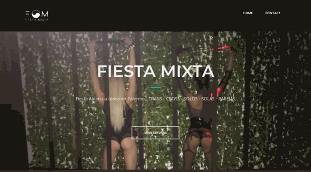 fiestamixta.com