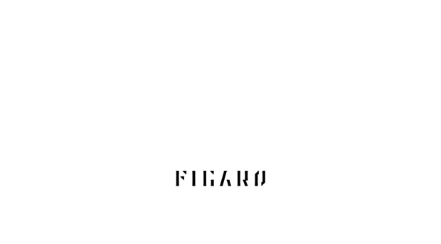 figaro-vis.jp