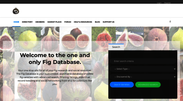 figdatabase.com