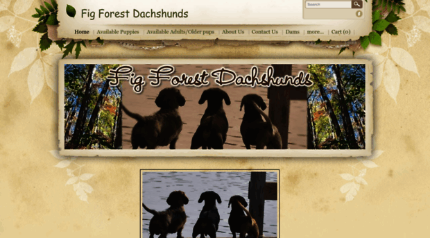 figforestdachshunds.com