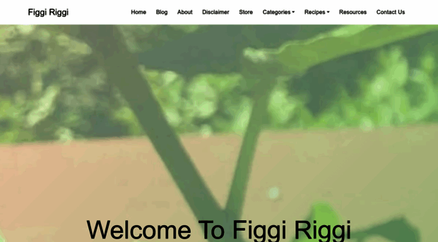 figgiriggi.com