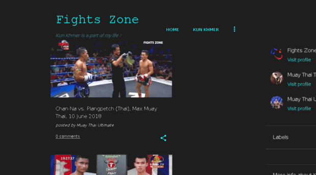 fightszone.com