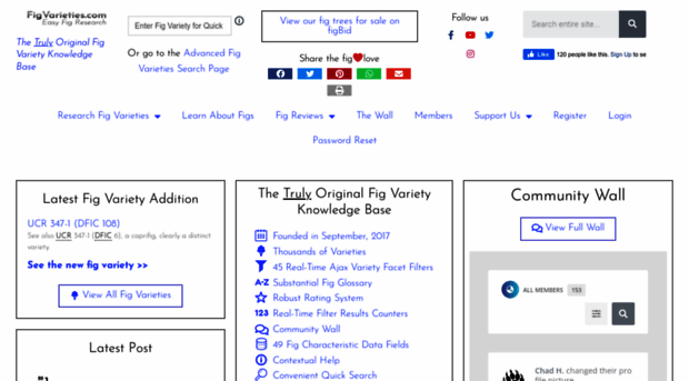 figvarieties.com