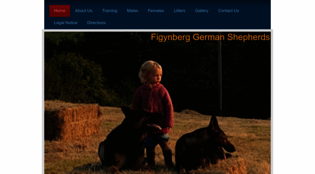 figynberg-german-shepherds.co.uk