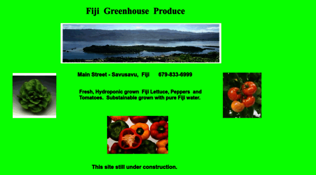 fijilettuce.com