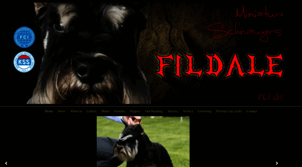 fildale.net